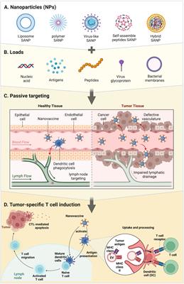 Frontiers | Self-assembled Nanoparticles: A New Platform For ...